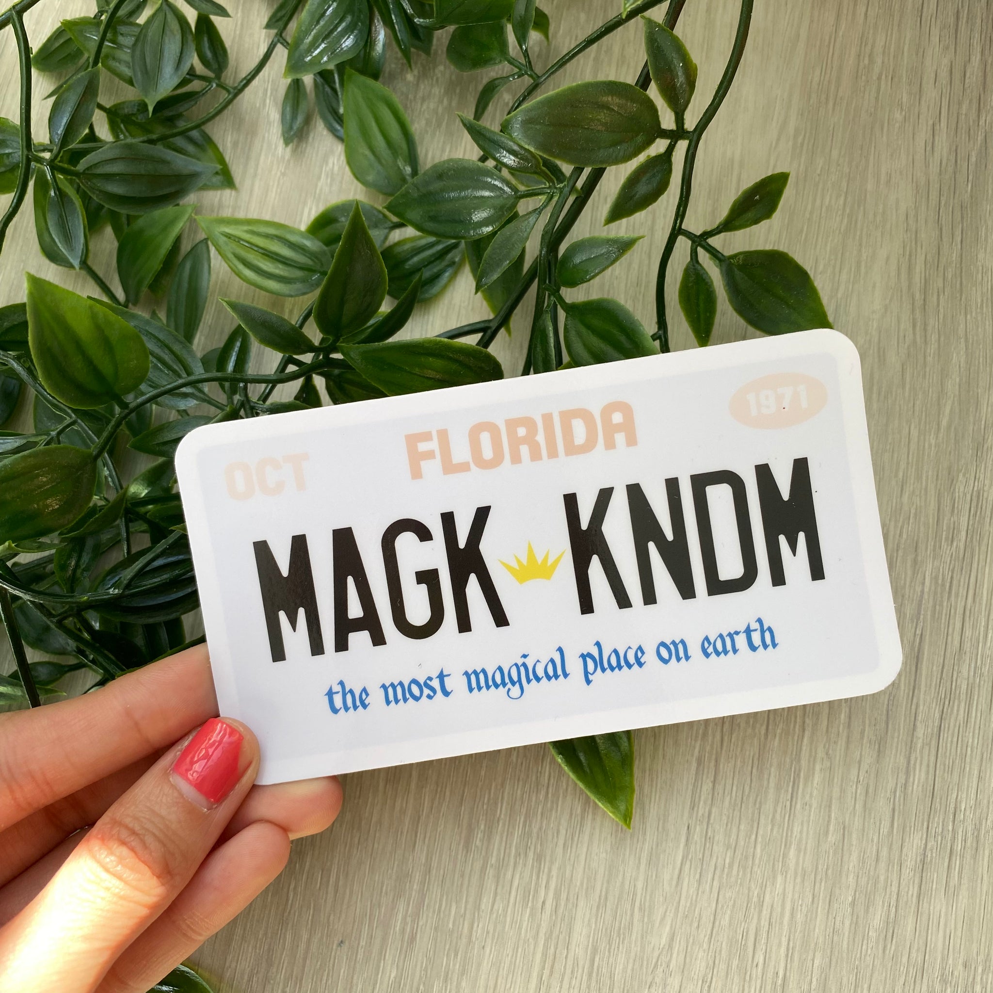 Magic Kingdom License Plate Sticker